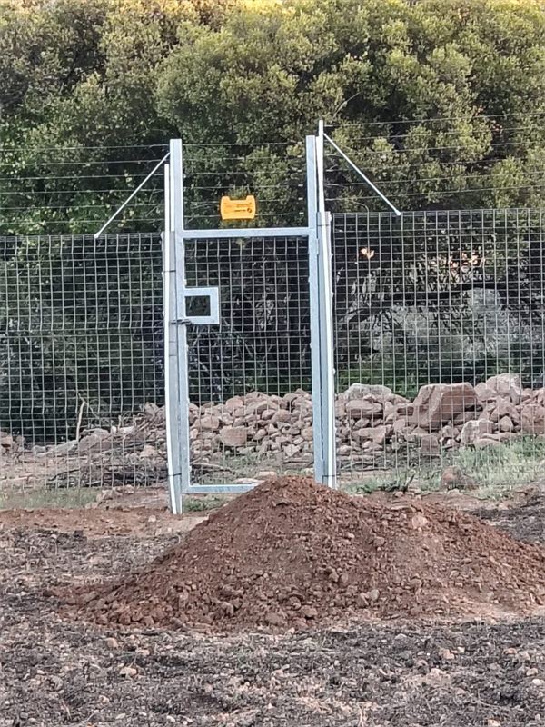 Pedestrian gate on a quiet boundary — Jozelle Fencing & Projects