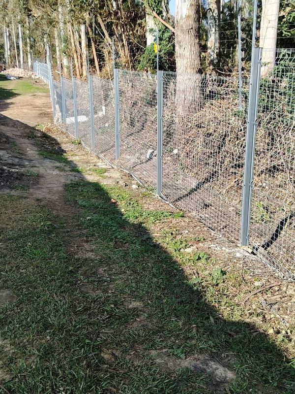 Clearview fence along a tree line — Jozelle Fencing & Projects